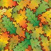 Autumn Oak Leaves